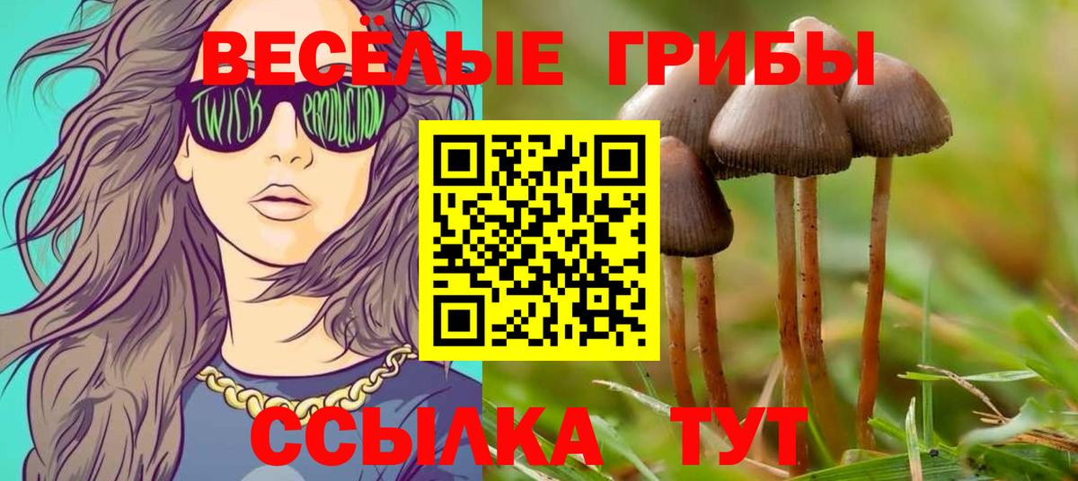 Галлюциногенные грибы Magic Shrooms Родники
