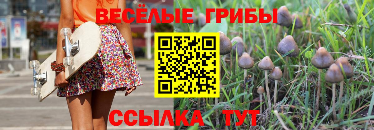 Галлюциногенные грибы мухоморы  где можно купить   Псилоцибиновые грибы Cubensis  Родники  Вход с VPN 